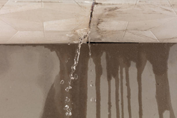 Professional Water Damage Repair technician working in Orland, ME